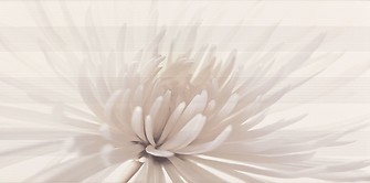 AVANGARDE WHITE INSERTO FLOWER 29,7 x 60